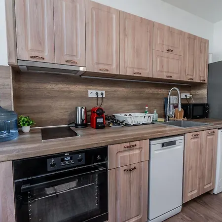 招待所 Vitoshka - R1 *